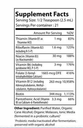 Fermented Vitamin B Complex 2 fl oz